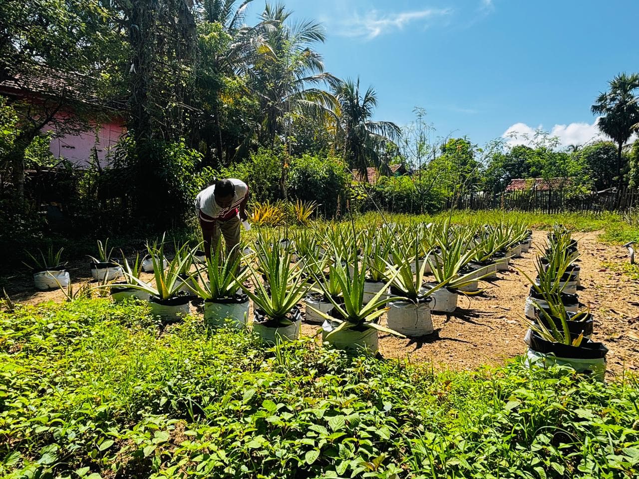 Real Farmers in Nature Farming Field